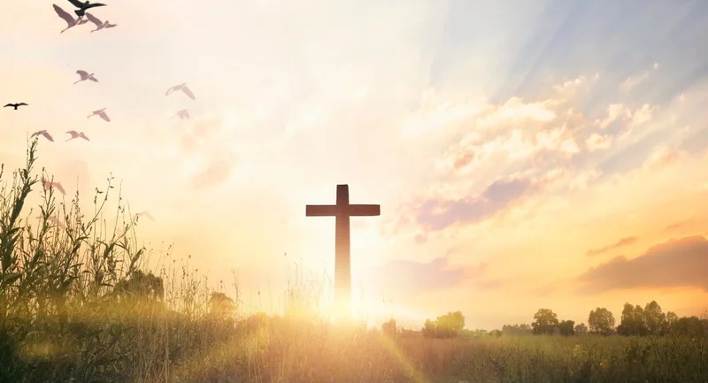 Cross-Border Developments: What's the Latest Impact?