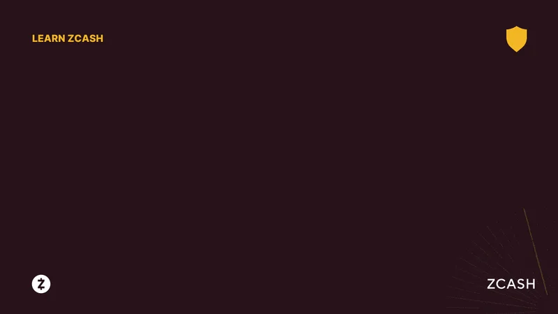 Zcash's Rise: Price Predictions, Bitcoin's Dip, and What We Know – What Reddit is Saying